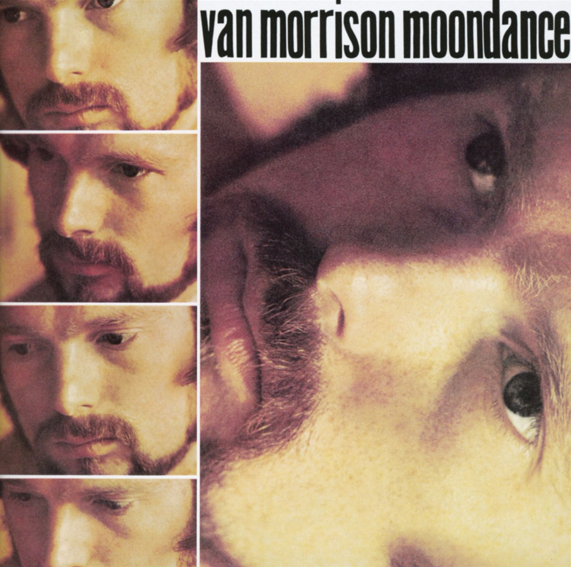 Van Morrison - Moondance (CD)