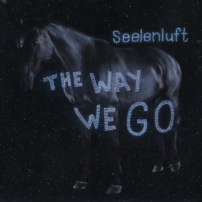 Seelenluft - The Way We Go (2LP)