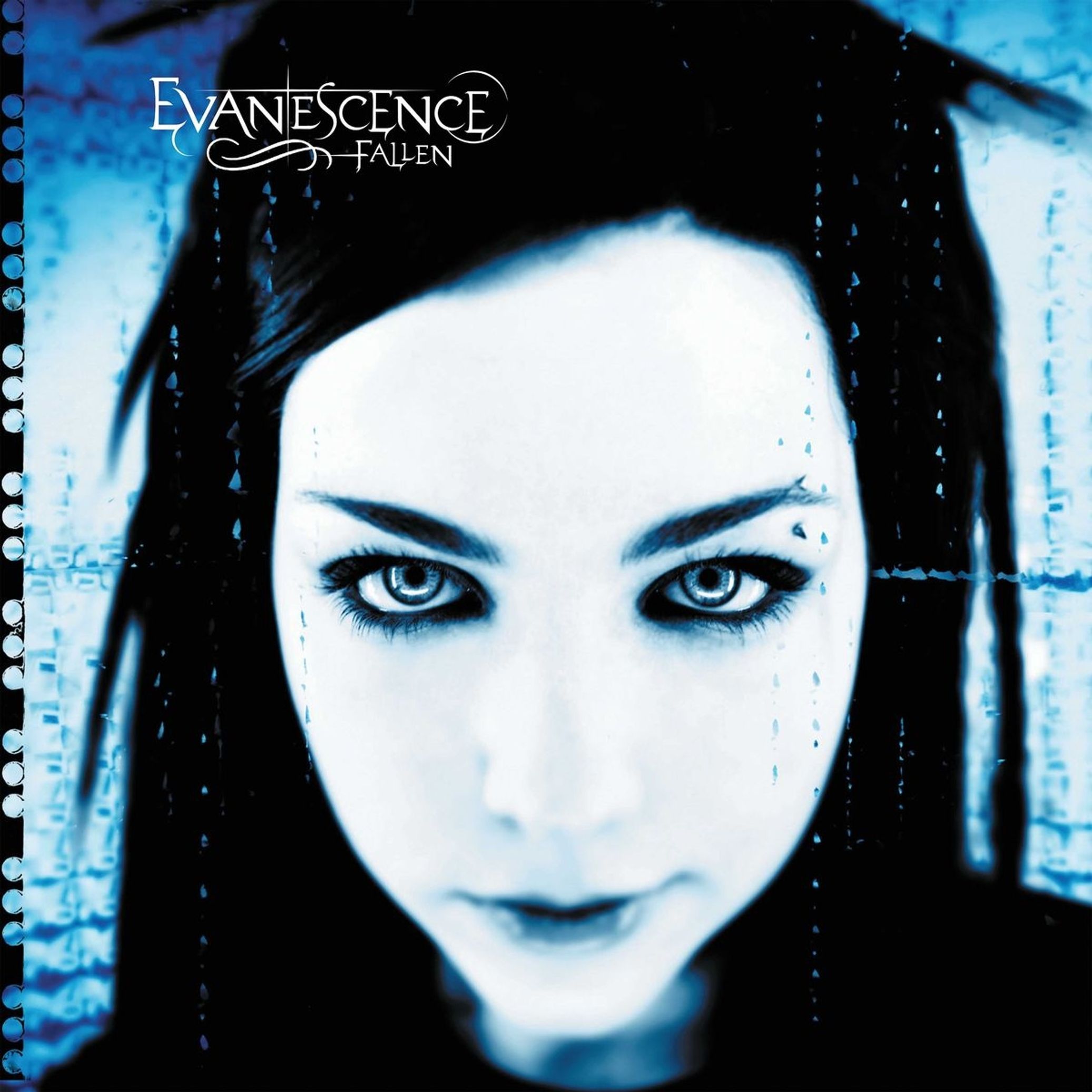 Evanescence - Fallen (LP)