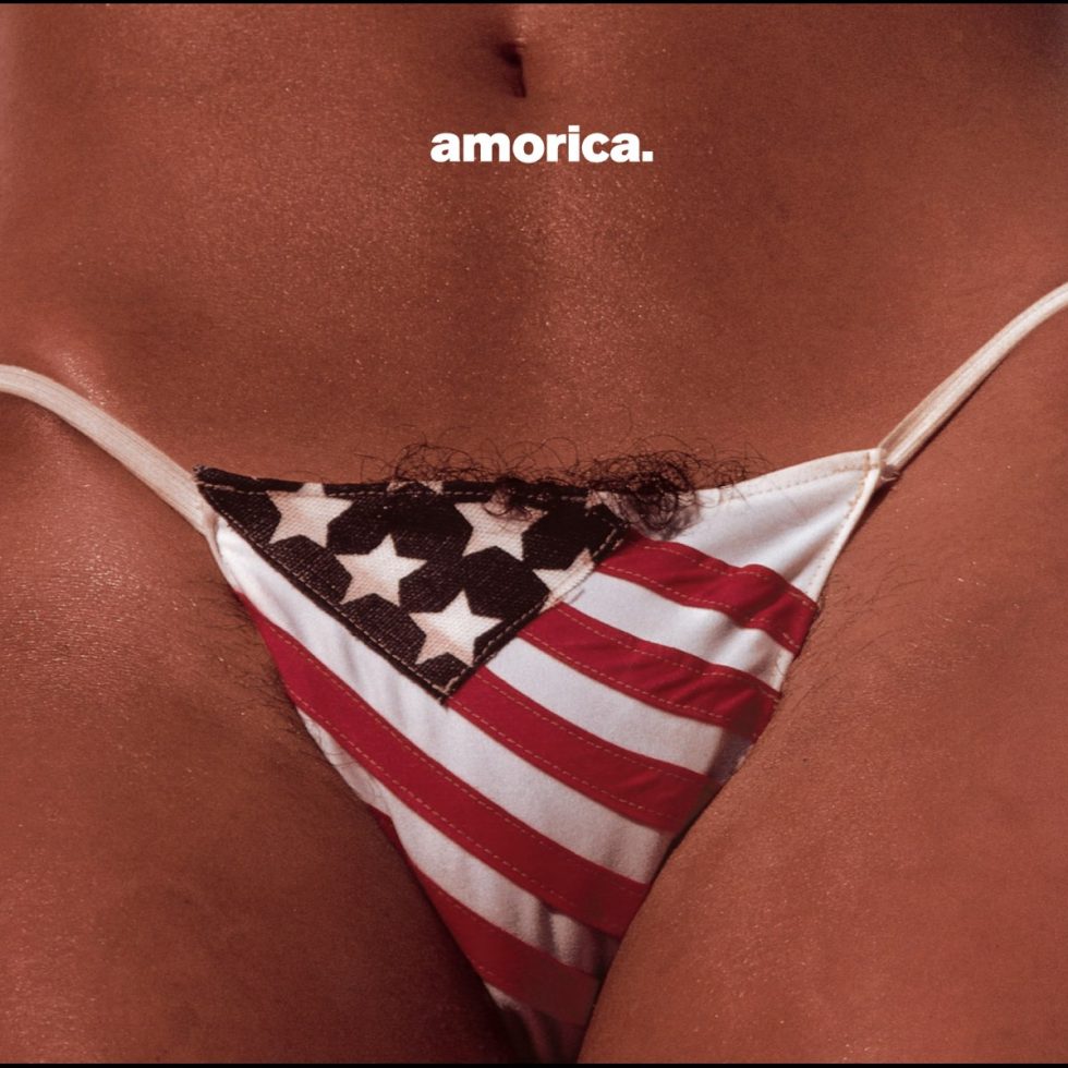 The Black Crowes - Amorica (2LP)