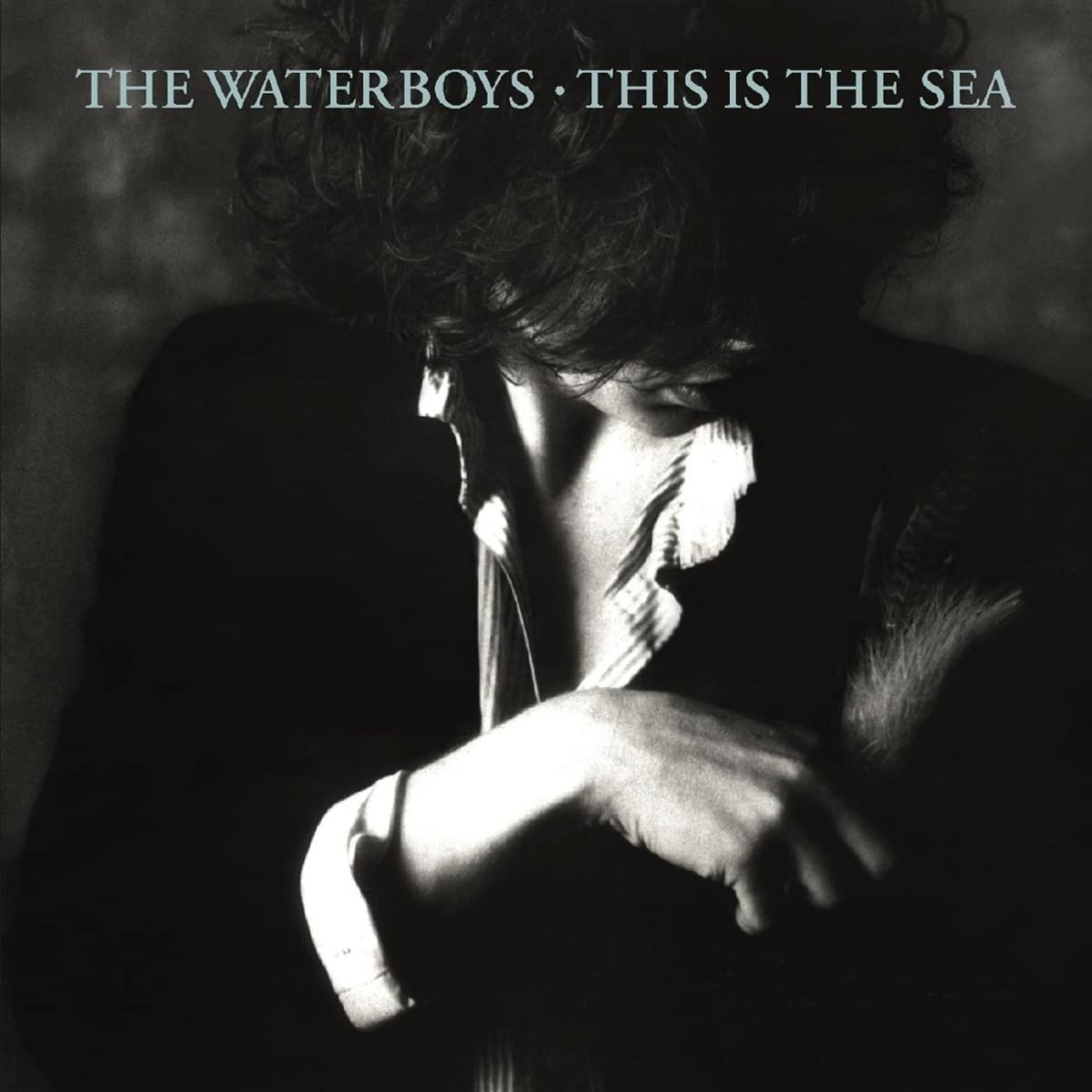 The Waterboys - This Is The Sea (Deluxe 2CD)