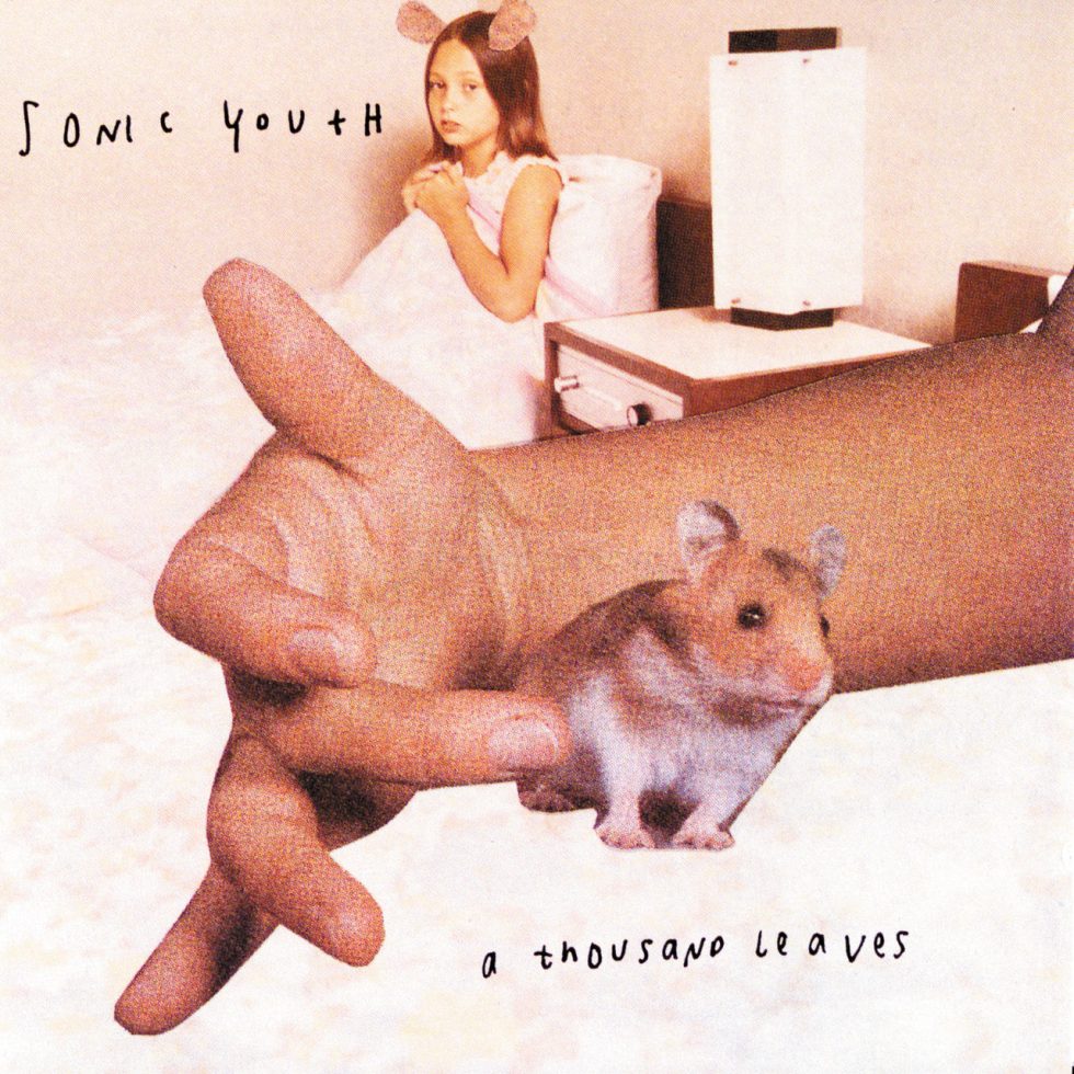 Sonic Youth - A Thousand Leaves (2LP)