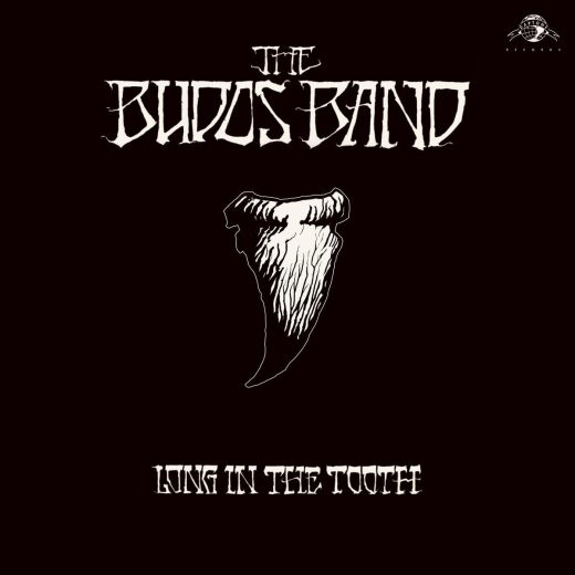 The Budos Band - Long In The Tooth (LP)