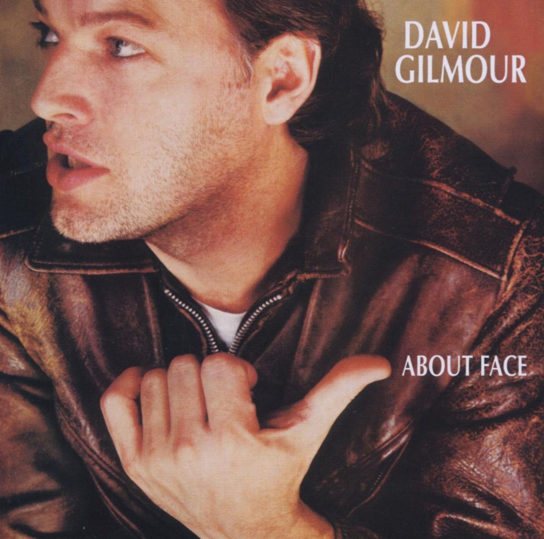 David Gilmour - About Face (CD)