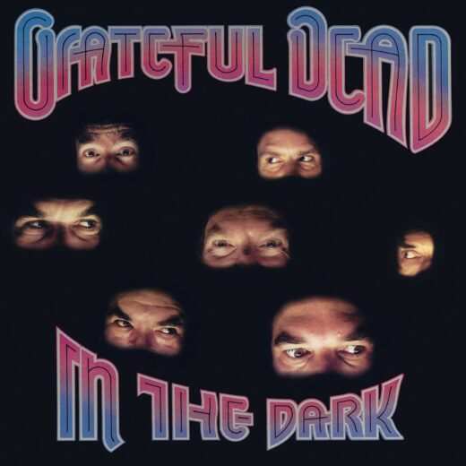 Grateful Dead - In The Dark (LP)