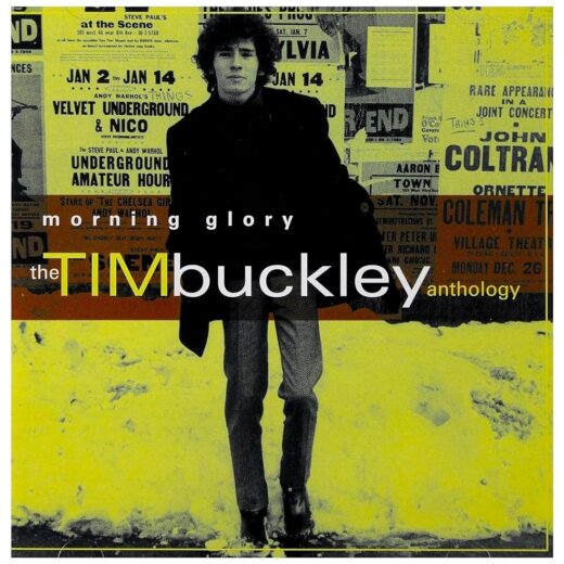 Tim Buckley - Anthology (2CD)