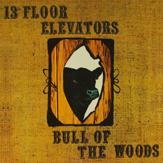 13th Floor Elevators – Bull Of The Woods (2CD)