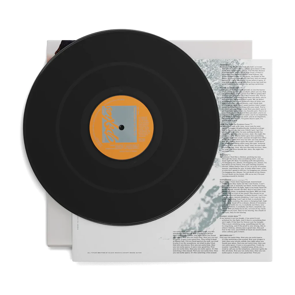 Pixies - The Night The Zombies Came (LP) - Image 3