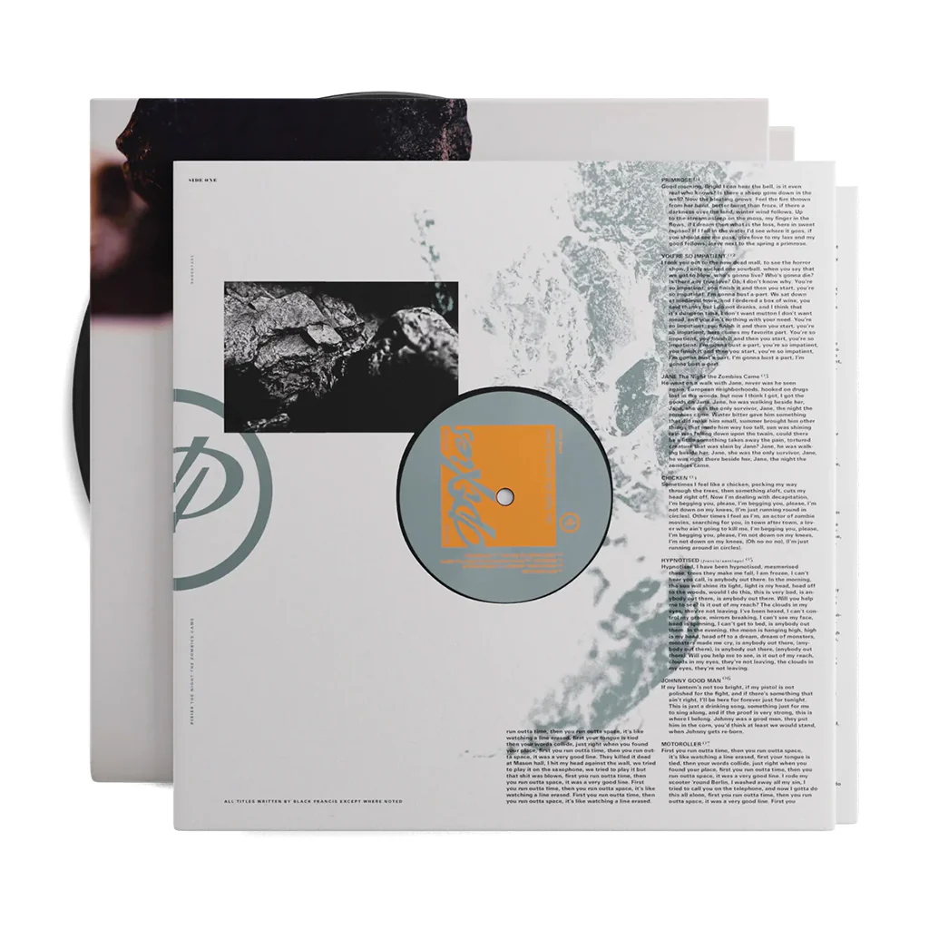 Pixies - The Night The Zombies Came (LP) - Image 2