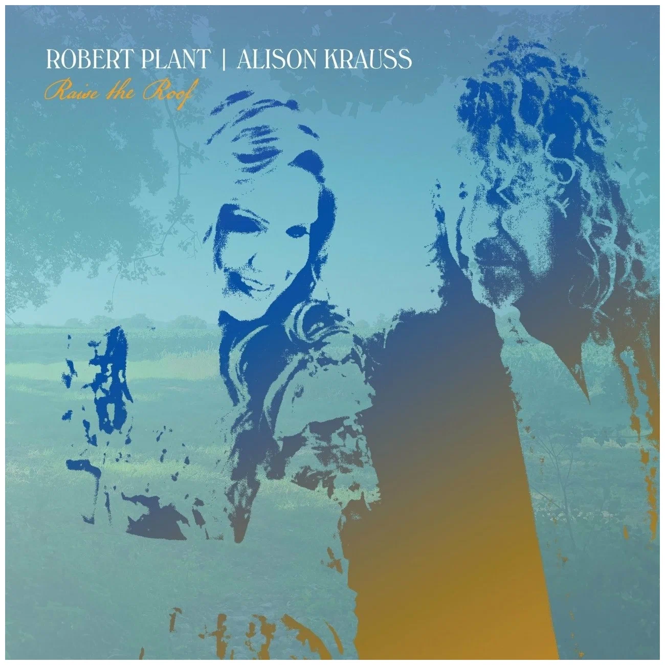 Robert Plant & Alison Krauss - Raise The Roof (Digisleeve CD)