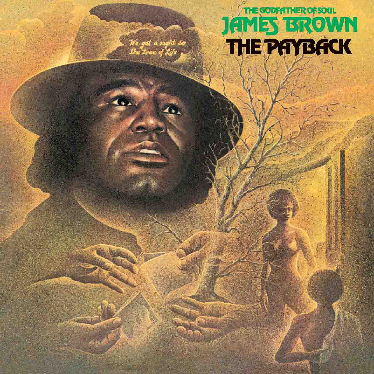 James Brown: The Payback 2LP Strongly Felt