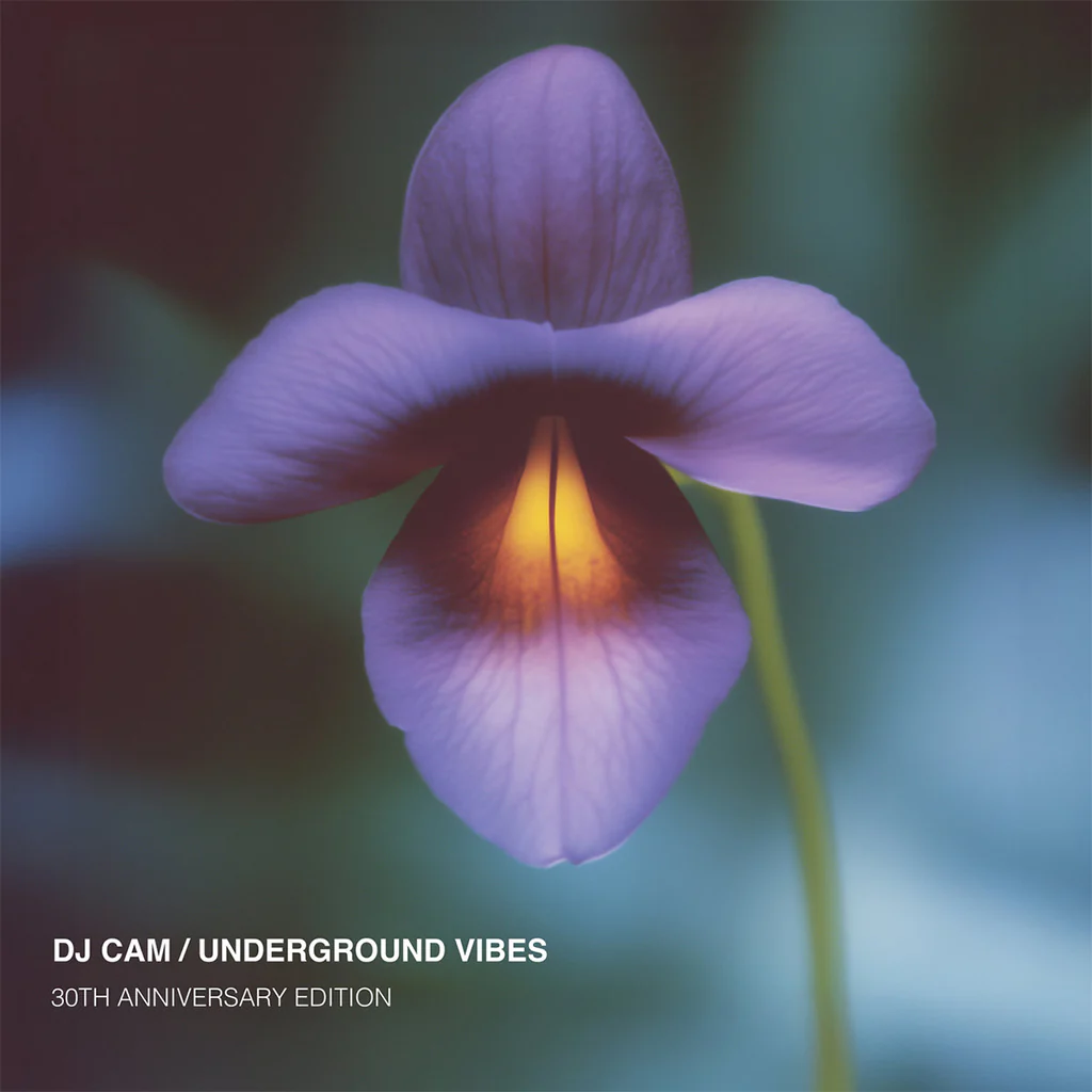 DJ Cam - Underground Vibes: 30th Anniversary (2LP)
